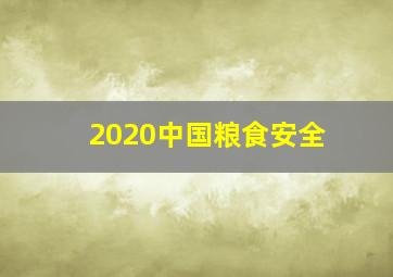 2020中国粮食安全