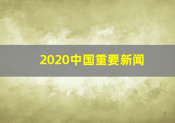 2020中国重要新闻