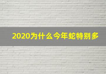 2020为什么今年蛇特别多