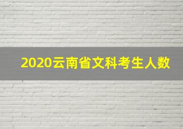 2020云南省文科考生人数