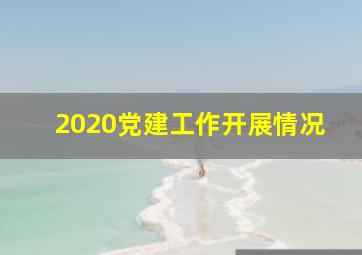 2020党建工作开展情况