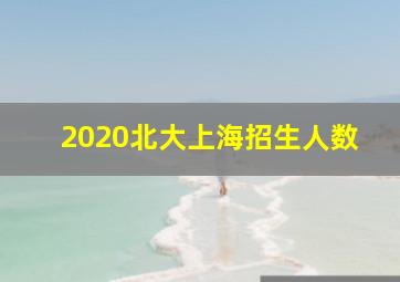 2020北大上海招生人数