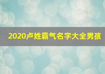 2020卢姓霸气名字大全男孩