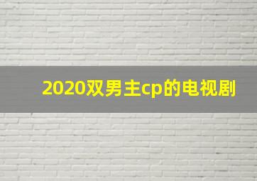 2020双男主cp的电视剧