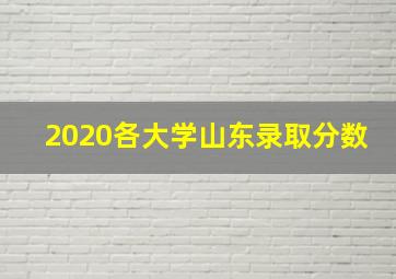 2020各大学山东录取分数