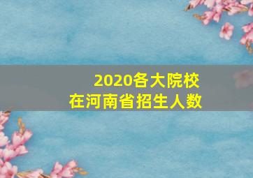 2020各大院校在河南省招生人数