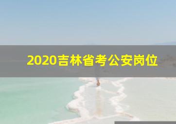 2020吉林省考公安岗位