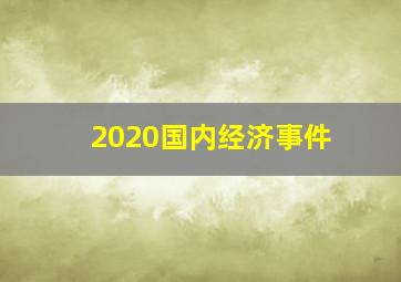 2020国内经济事件