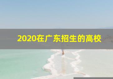 2020在广东招生的高校