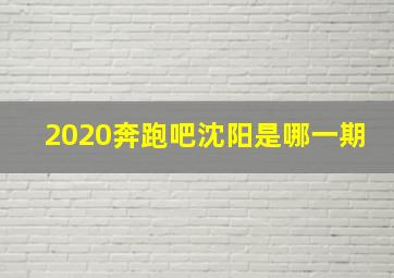 2020奔跑吧沈阳是哪一期