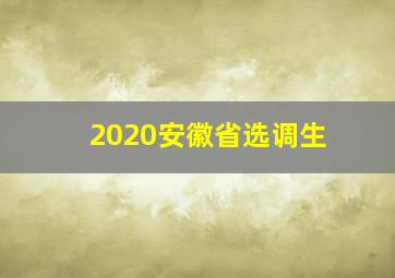 2020安徽省选调生