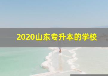 2020山东专升本的学校