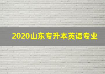 2020山东专升本英语专业