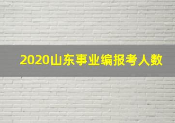 2020山东事业编报考人数