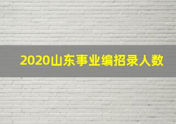 2020山东事业编招录人数