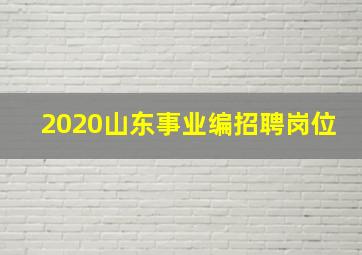 2020山东事业编招聘岗位