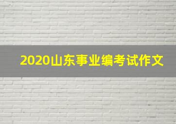 2020山东事业编考试作文