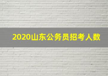 2020山东公务员招考人数