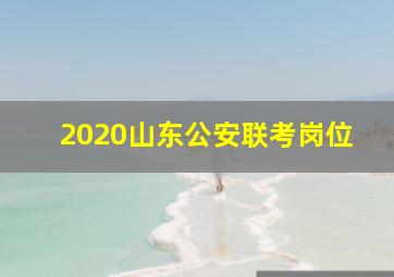 2020山东公安联考岗位