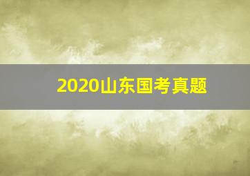 2020山东国考真题