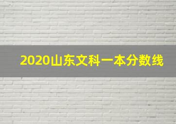 2020山东文科一本分数线