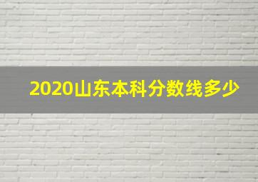 2020山东本科分数线多少