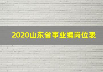 2020山东省事业编岗位表