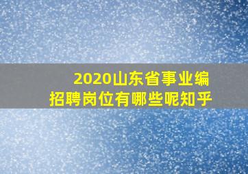 2020山东省事业编招聘岗位有哪些呢知乎