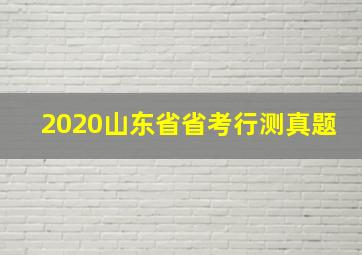 2020山东省省考行测真题