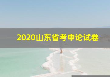 2020山东省考申论试卷