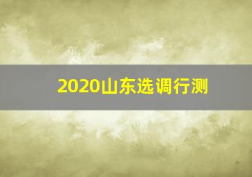 2020山东选调行测