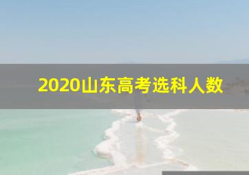 2020山东高考选科人数