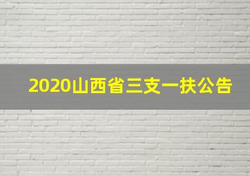 2020山西省三支一扶公告