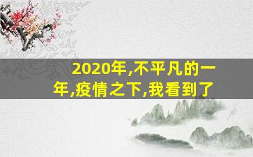 2020年,不平凡的一年,疫情之下,我看到了