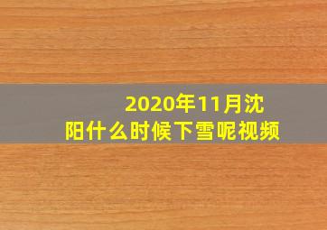 2020年11月沈阳什么时候下雪呢视频