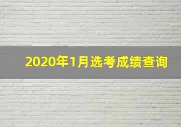 2020年1月选考成绩查询