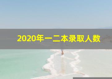 2020年一二本录取人数