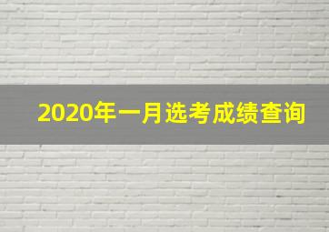 2020年一月选考成绩查询