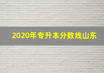 2020年专升本分数线山东