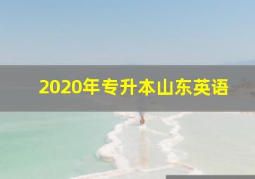 2020年专升本山东英语