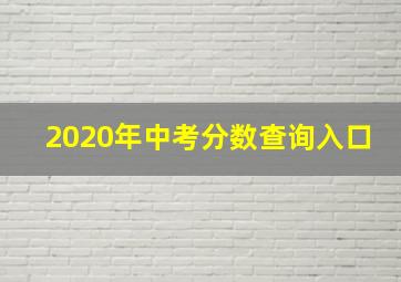 2020年中考分数查询入口