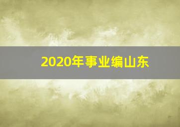 2020年事业编山东