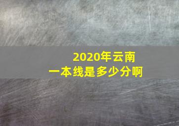 2020年云南一本线是多少分啊