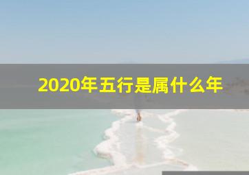 2020年五行是属什么年