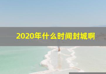 2020年什么时间封城啊