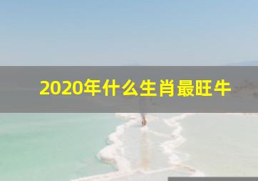 2020年什么生肖最旺牛