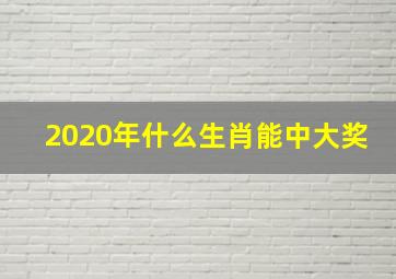 2020年什么生肖能中大奖