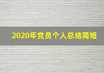 2020年党员个人总结简短