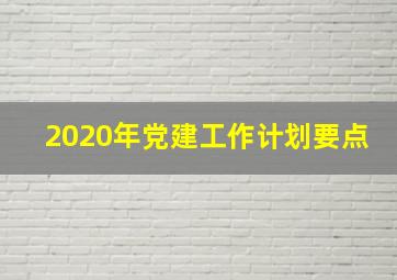 2020年党建工作计划要点