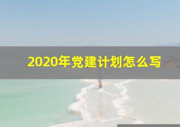 2020年党建计划怎么写